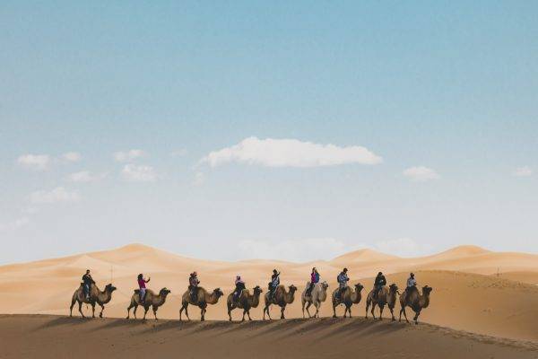 vertical-shot-people-riding-camels-sand-dune-desert